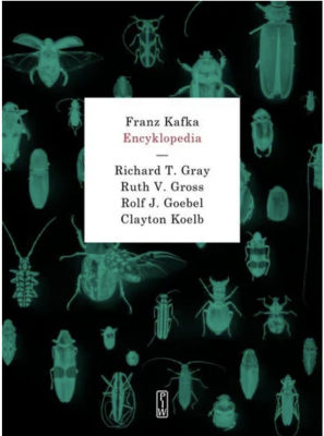 Zrzut ekranu 2026-04-27 120802